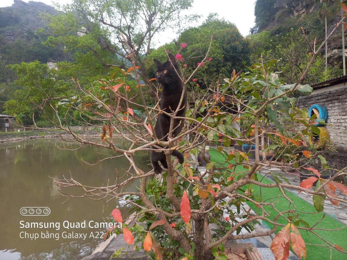 Trang An Pristine View Homestay Ninh Binh Luaran gambar