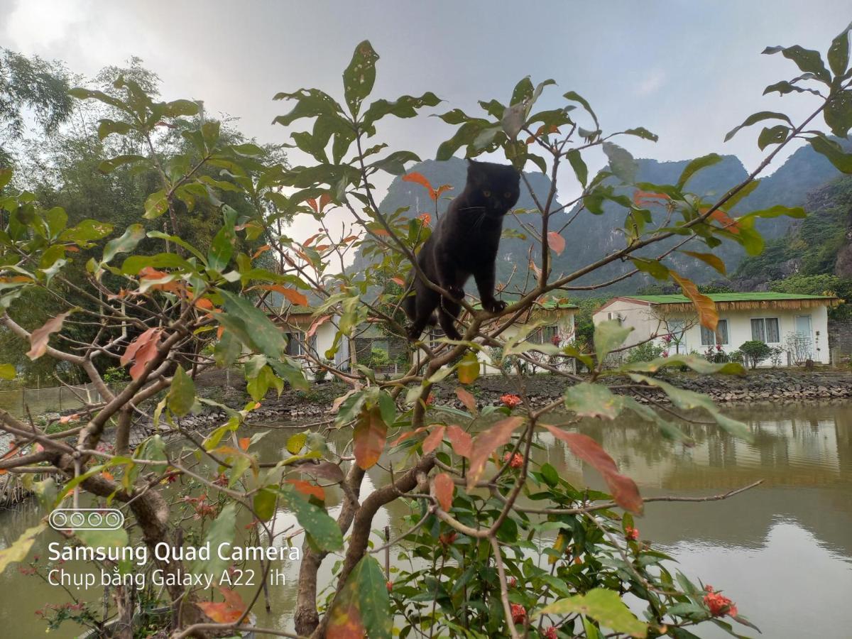 Trang An Pristine View Homestay Ninh Binh Luaran gambar
